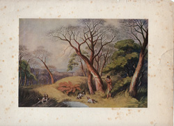 Fox hunting, polo and other horse prints